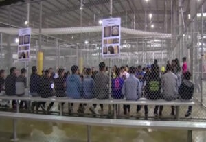 illegal aliens in detention