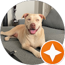 Thomas Huntley profile picture