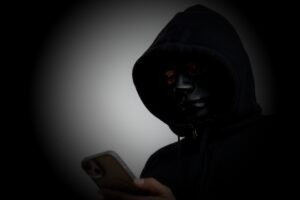 What is Fraudulent Behavior?